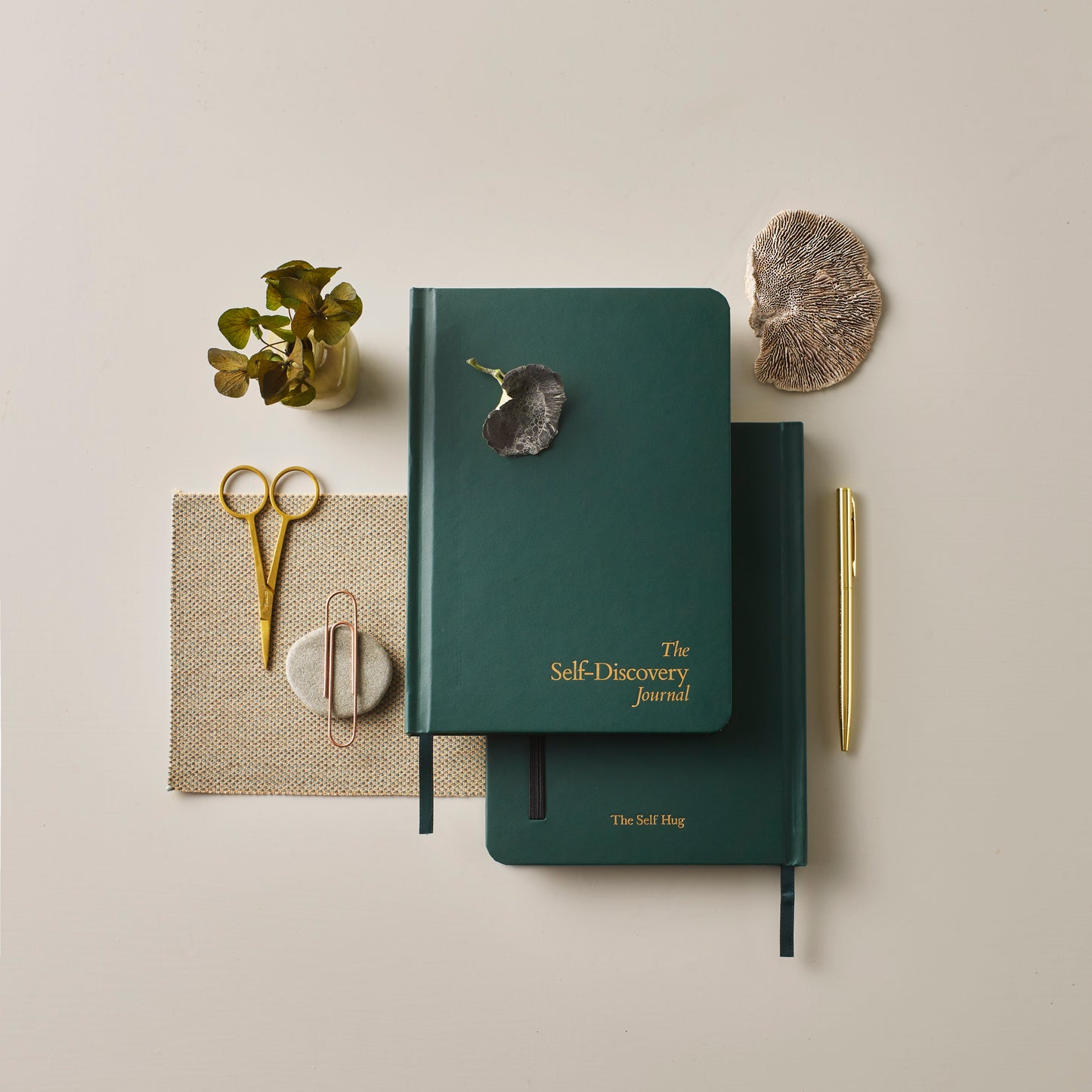 Self-Discovery Guided Journal